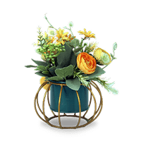 Flowers & Plant Pots Shopping