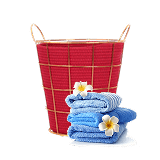 Laundry & Garments Care Shopping