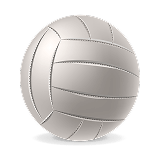 Volleyballs Shopping