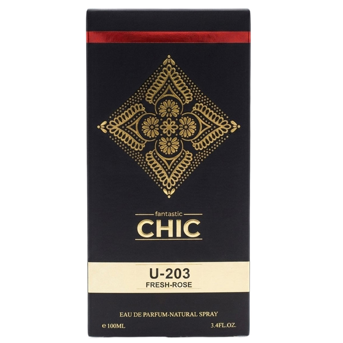 Fantastic Chic Warm Spicy Perfume 100ml