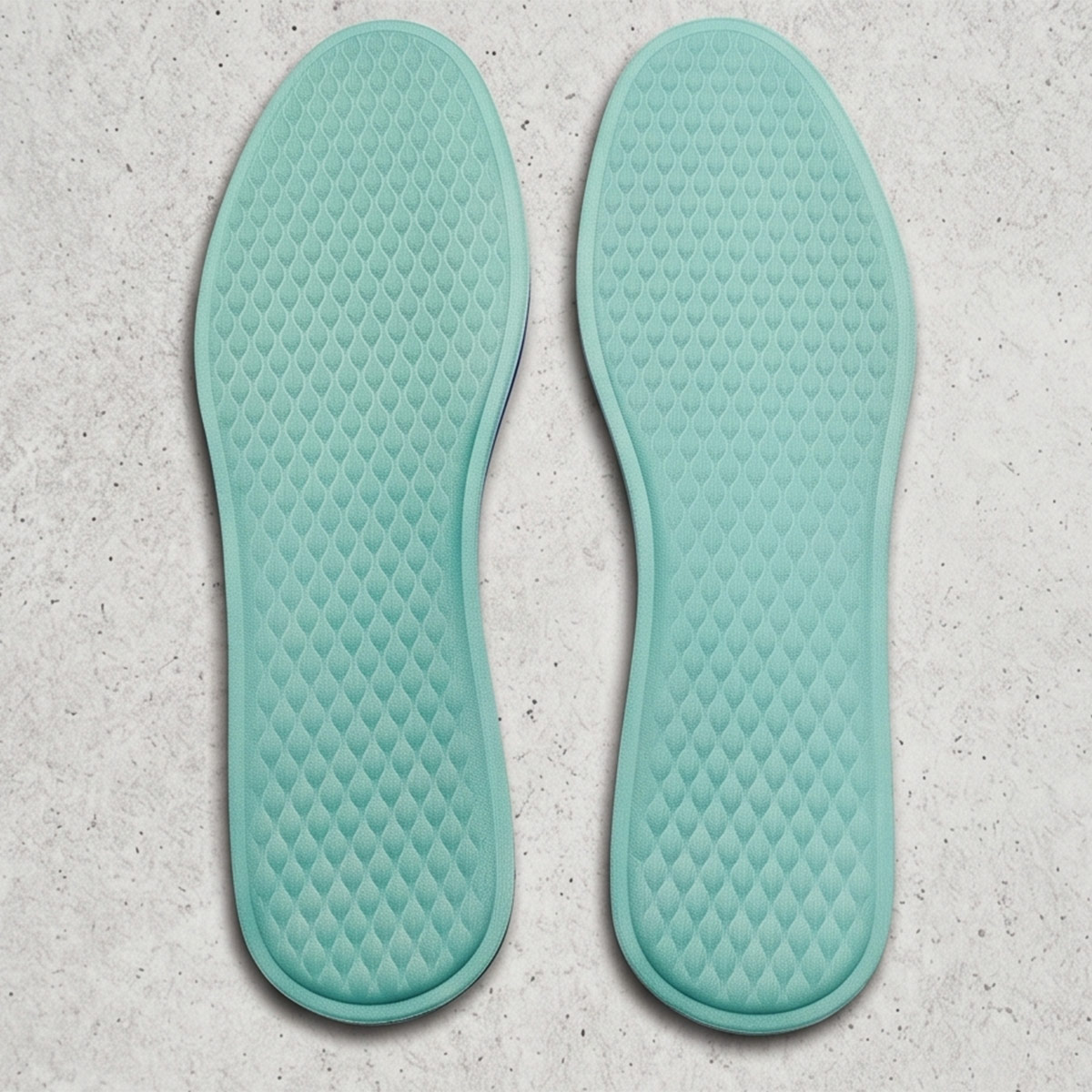 Shoe Insole
