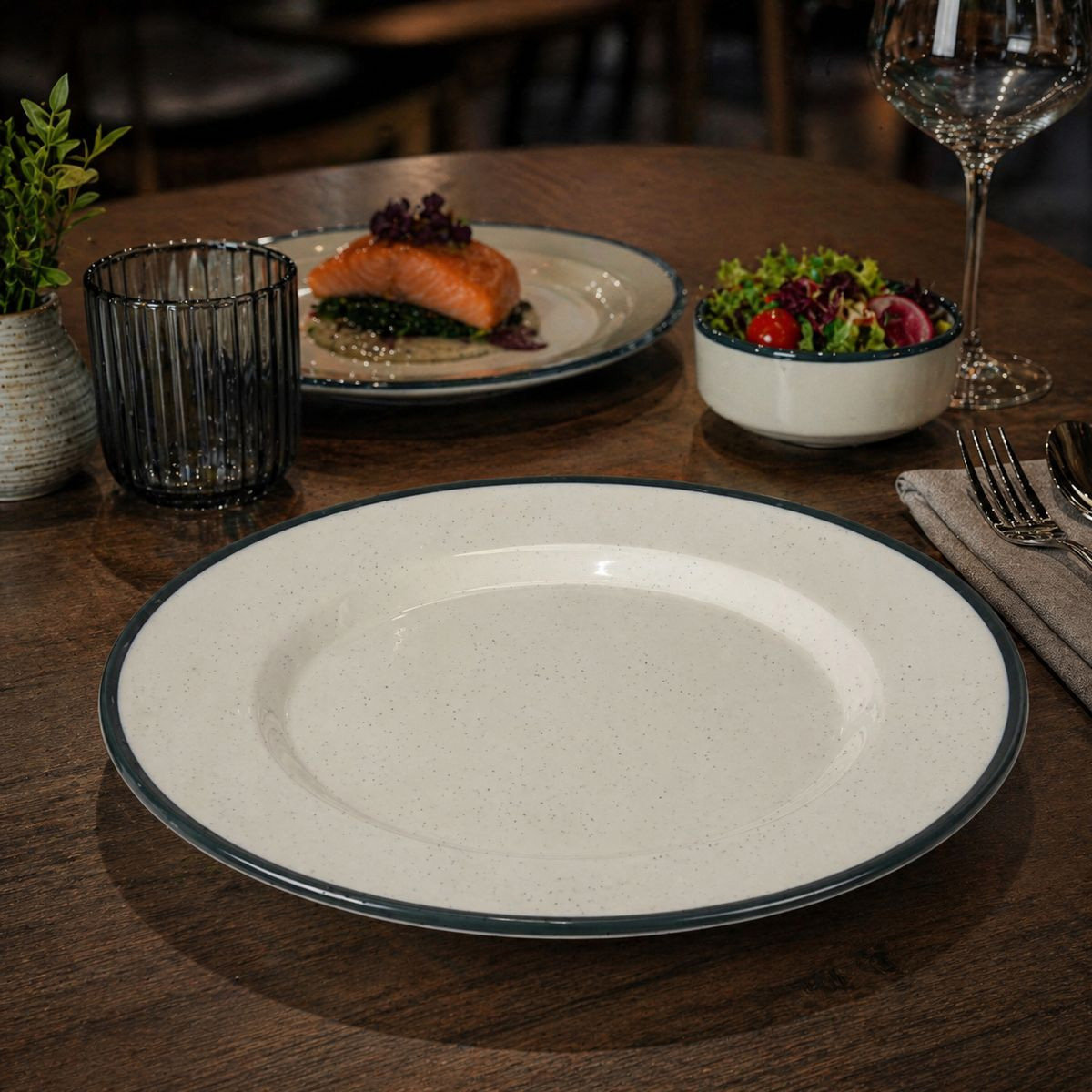 Plastic Dinner Plate 10 Inch
