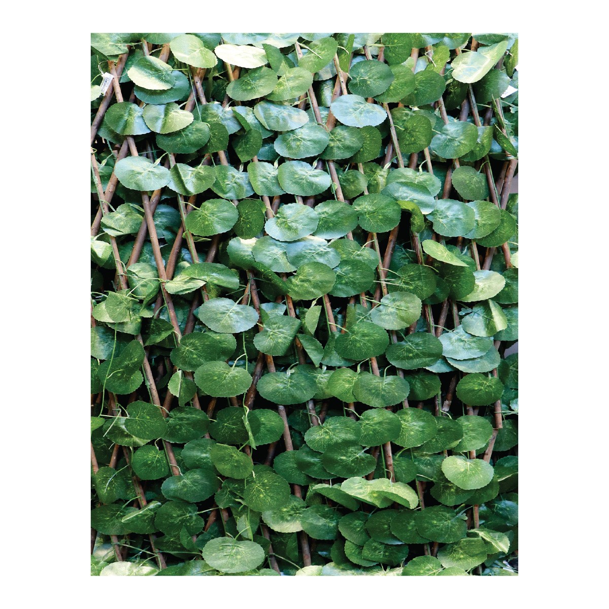 Green Leaf Partition