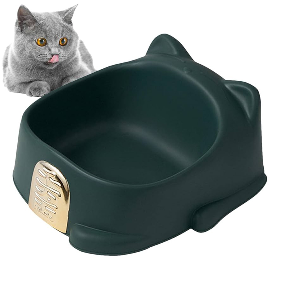 Pet Food Bowl