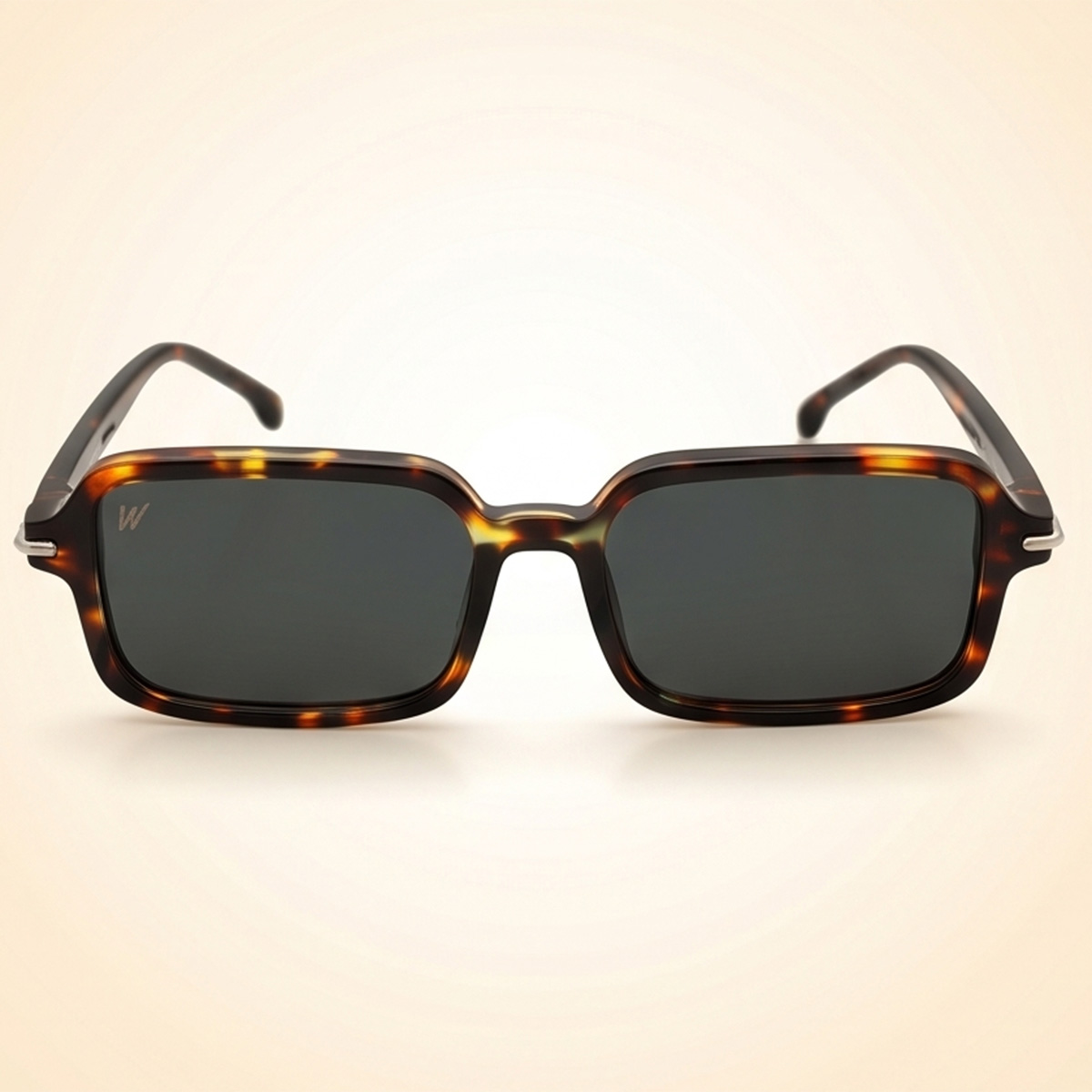 Men Sunglasses