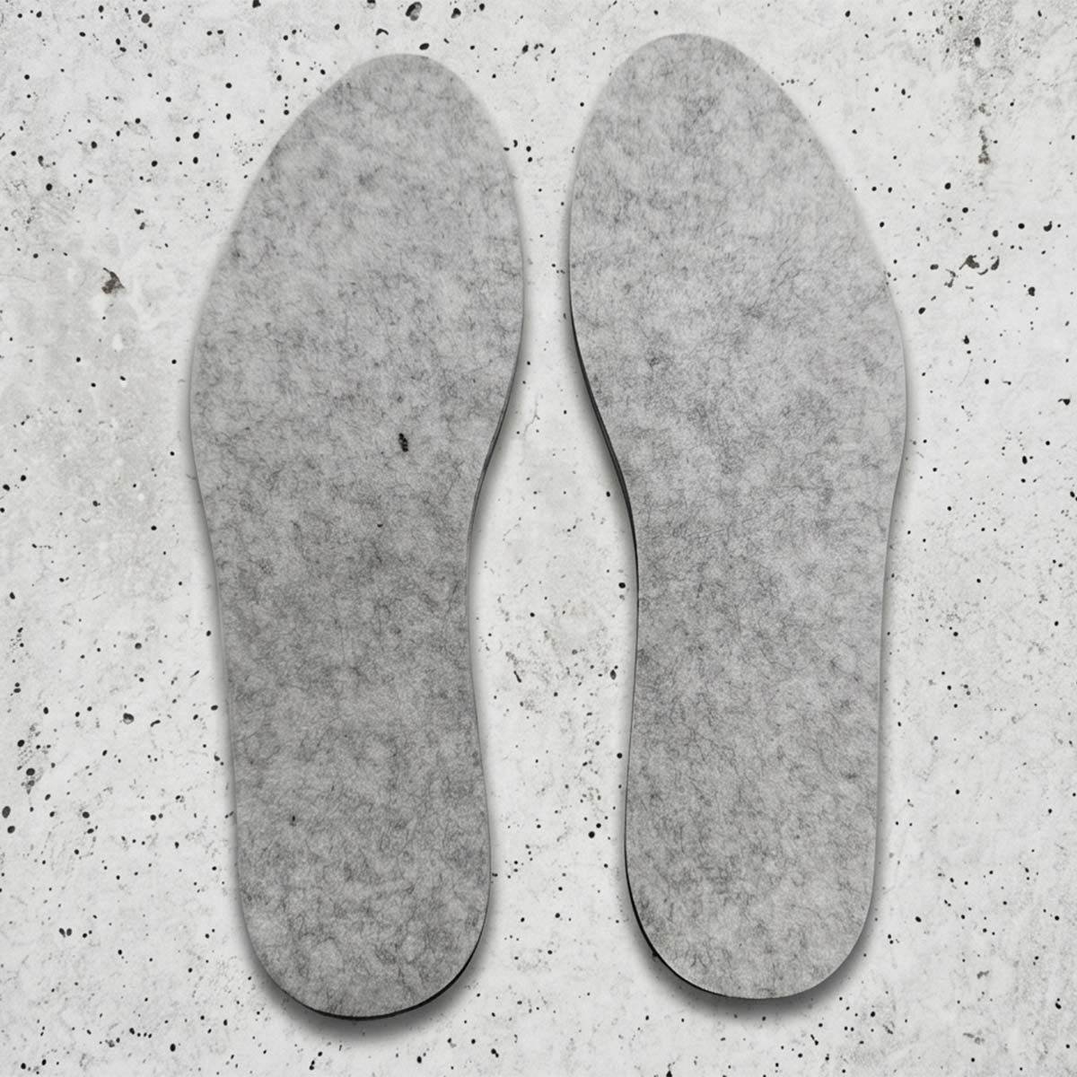 Shoe Insole