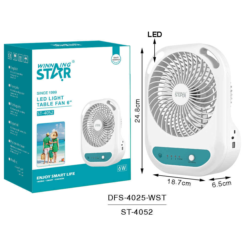 WS USB Table Fan