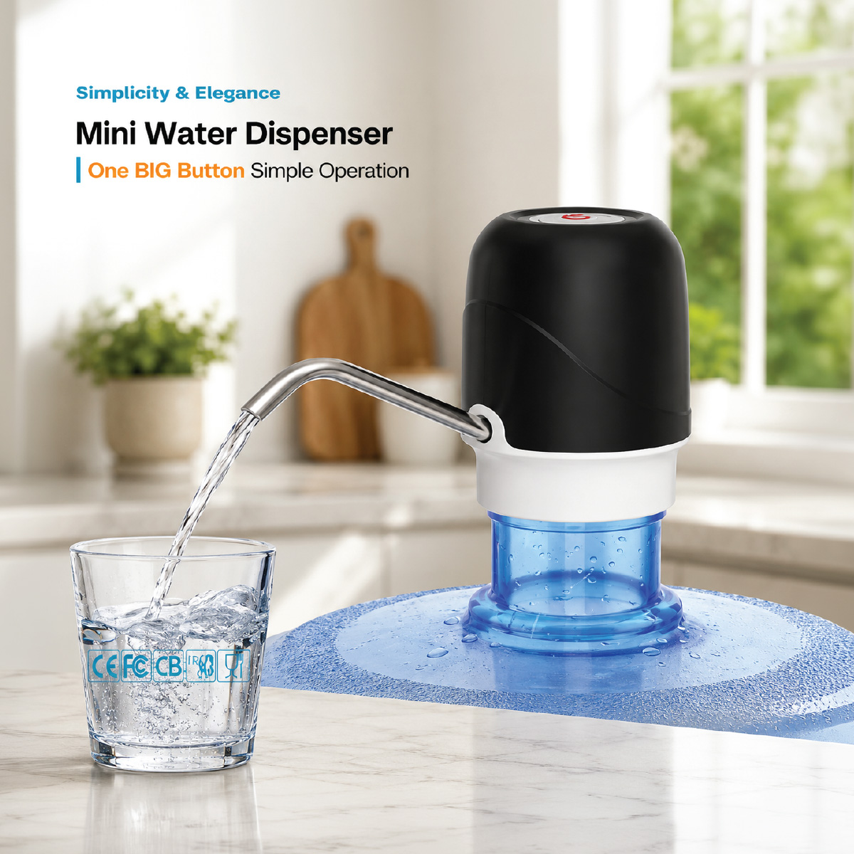 Electric Water Pump