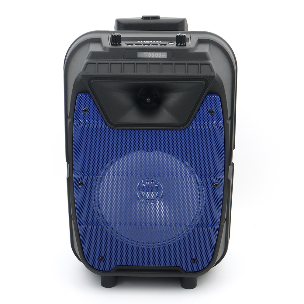 Speaker