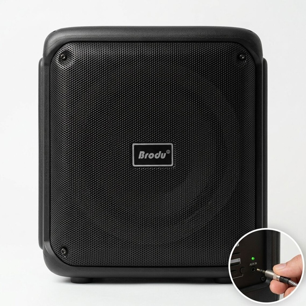Party Speaker