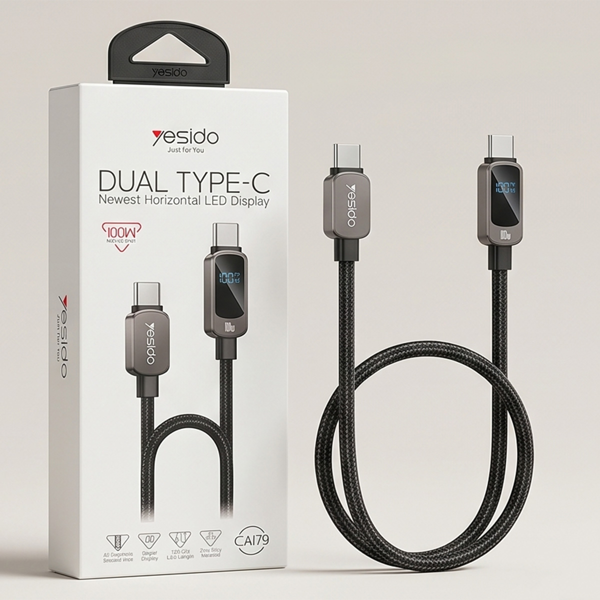 Type C to Type C Cable 1.2m 100W