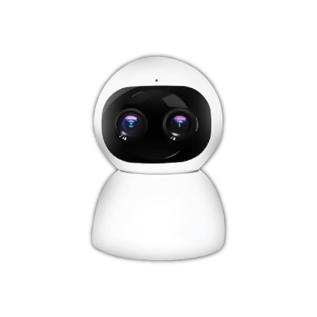 Smart Camera