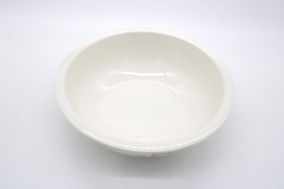 Dinner Plate