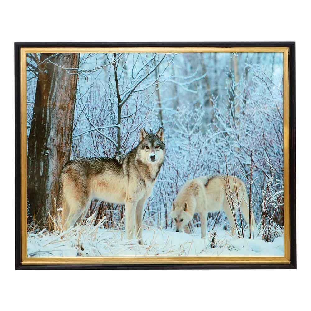 Animal Picture Frame 50x60cm