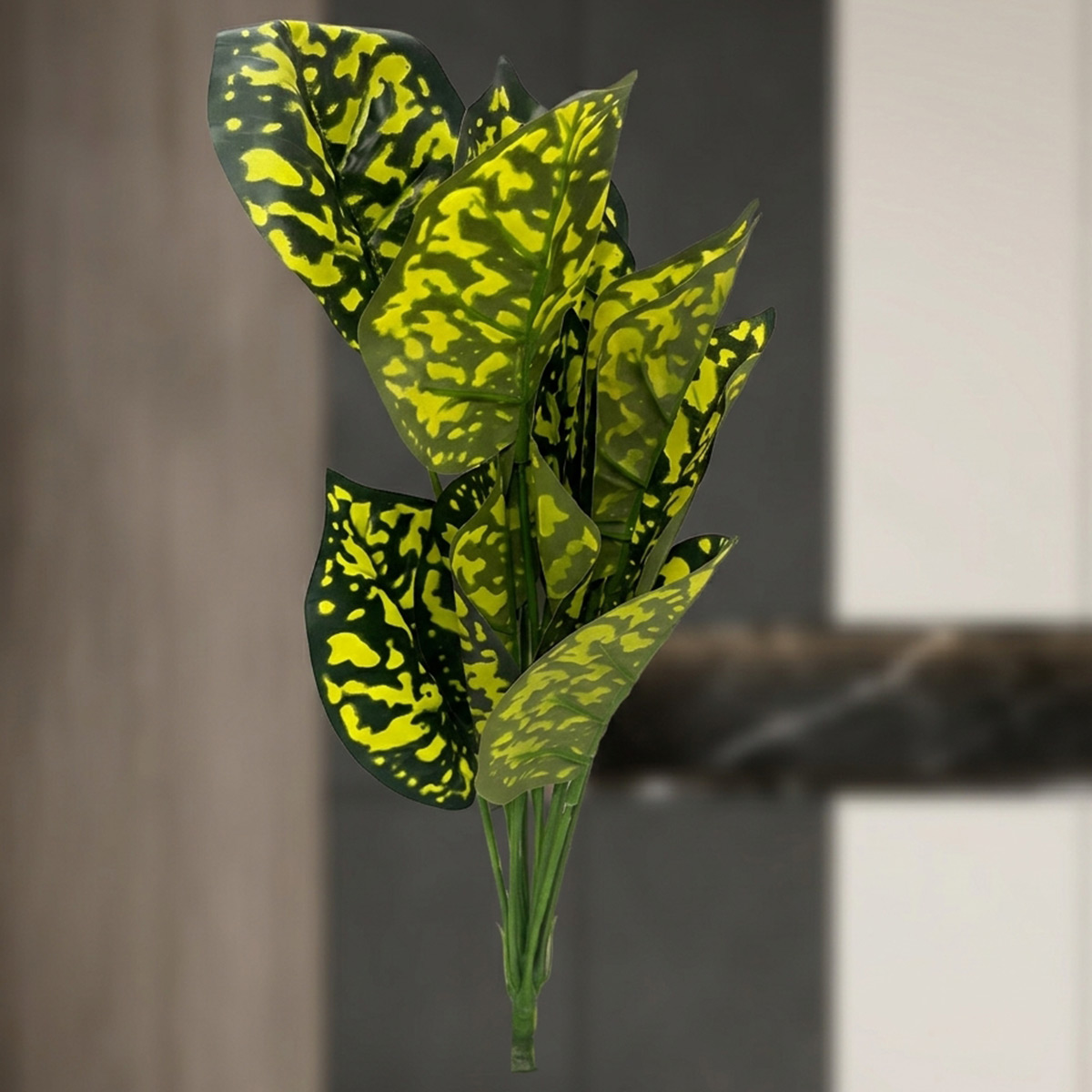 Leaves for Tree Fixing