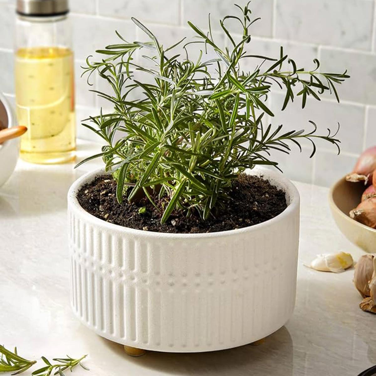 Large Ceramic Flower Pot