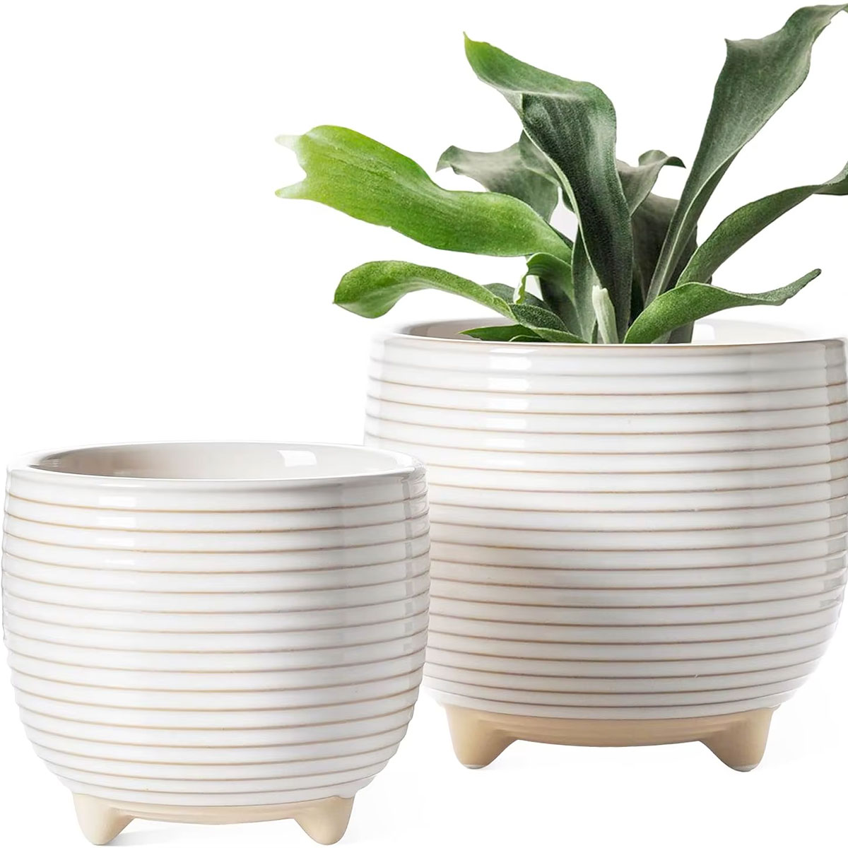 Small Ceramic Flower Pot