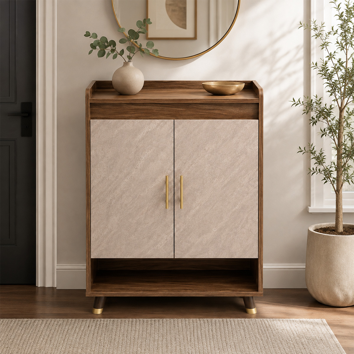 Modern Shoe Cabinet 2 Door