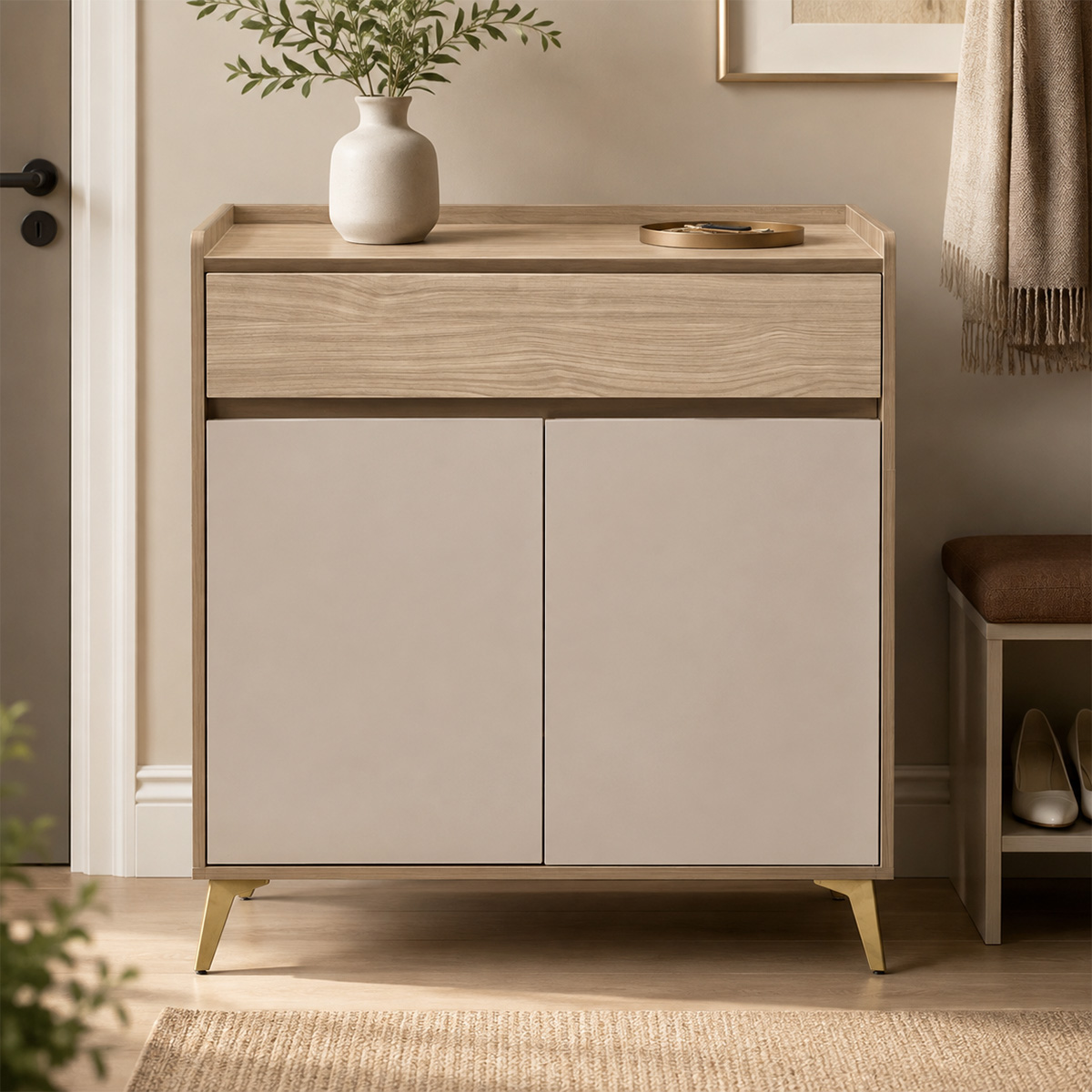 Modern Shoe Cabinet 2 Door
