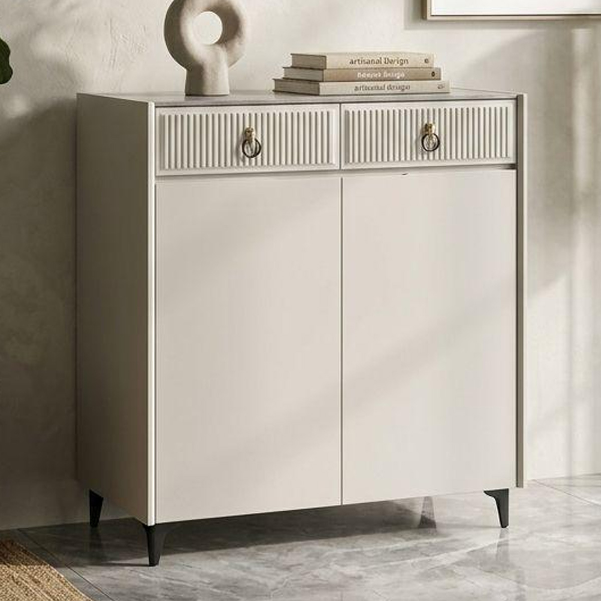 Modern Shoe Cabinet 2 Door