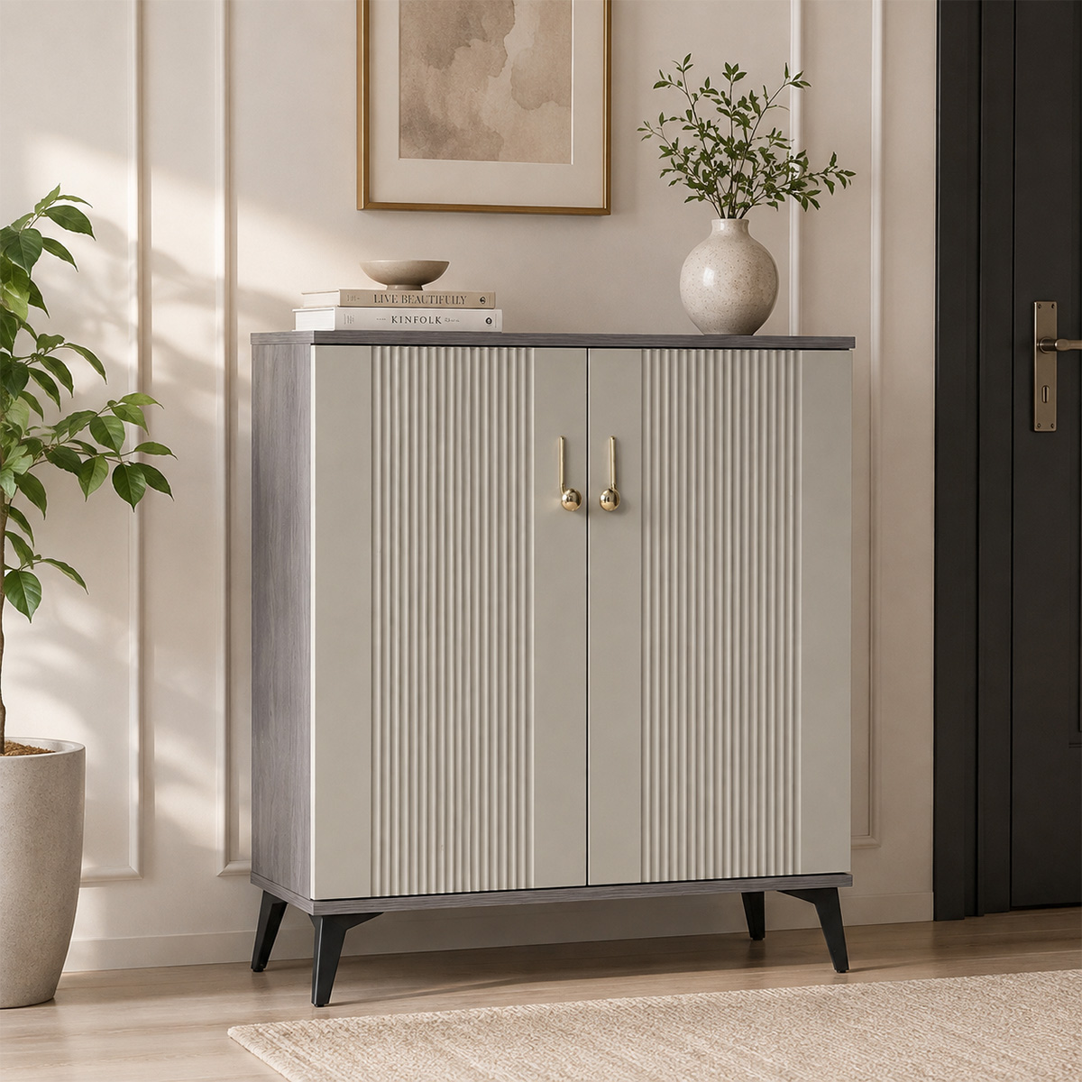 Modern Shoe Cabinet 2 Door
