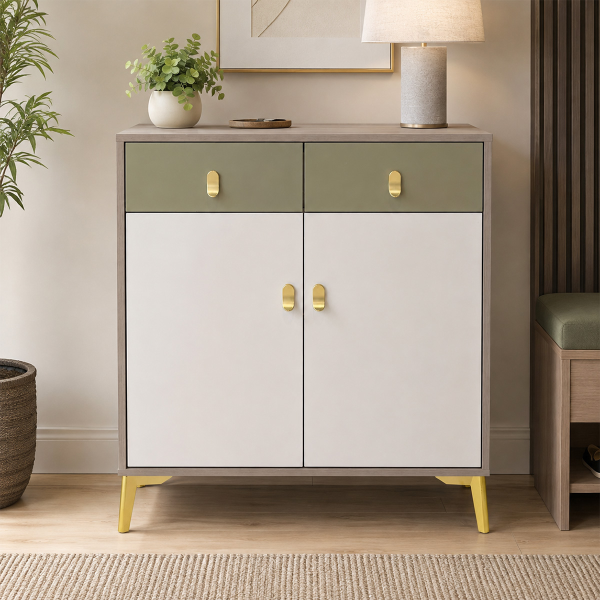 Modern Shoe Cabinet 2 Door