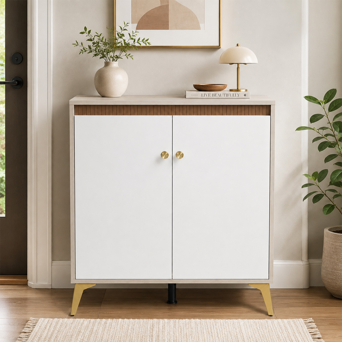 Modern Shoe Cabinet 2 Door