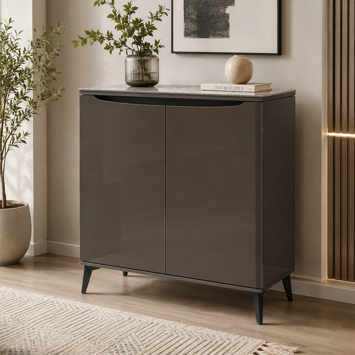 Modern Shoe Cabinet 2 Door