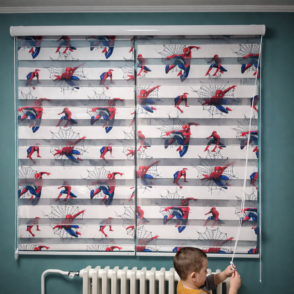 Kids Curtain Blinds 12