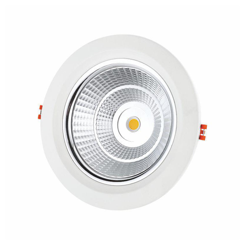 LED Downlight 30W