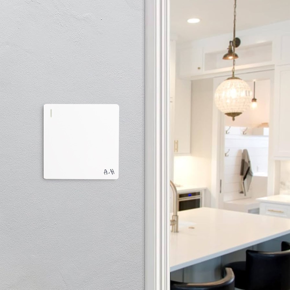 1-Gang 1-Way Plate Switch