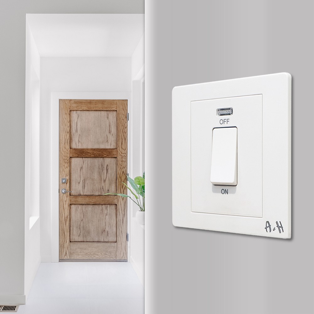 45A DP Switch with Neon