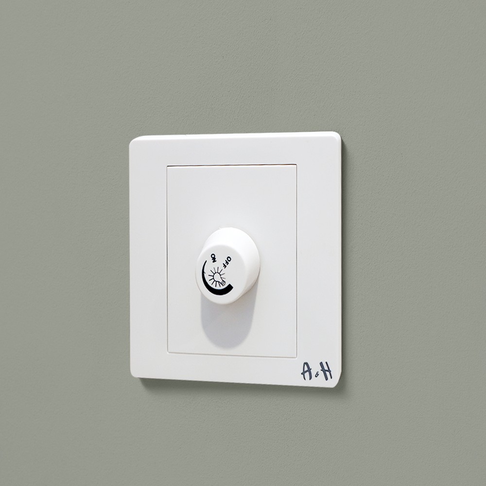 Light Dimmer Switch 1000W