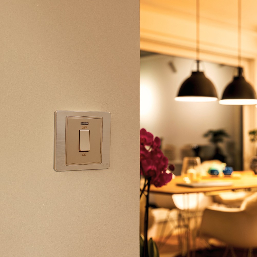 20A DP Switch with Neon 32A