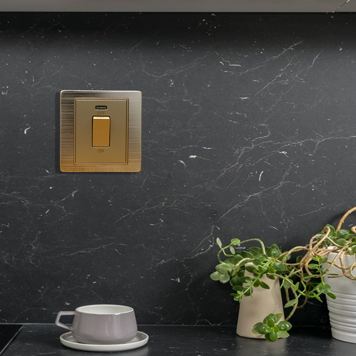 45A DP Switch with Neon