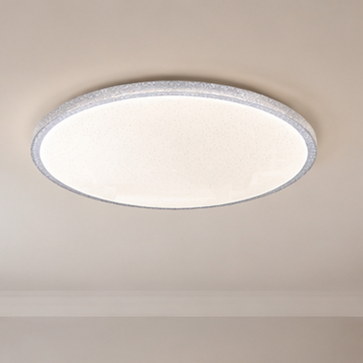 Plastic Ceiling Light