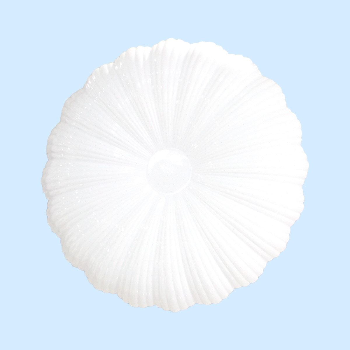 Plastic Ceiling Light