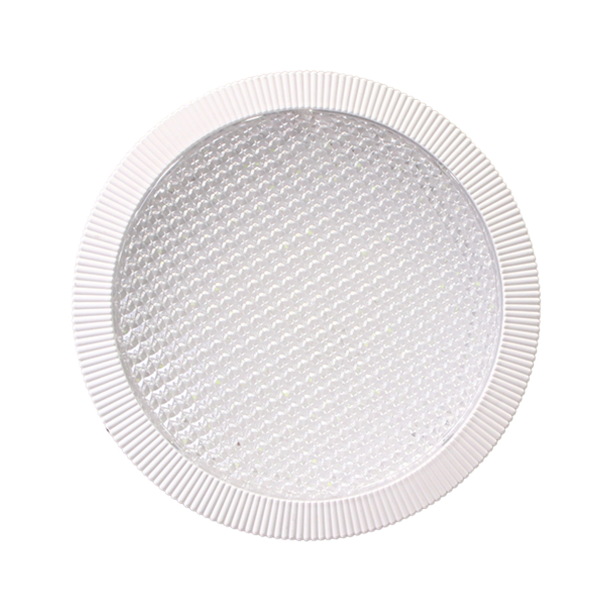 Surface Down Light