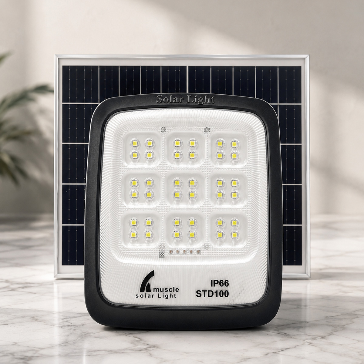 Solar LED Flood Light Cool White 6500K 100W