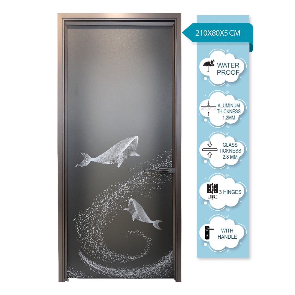 Aluminium Door 80x210cm