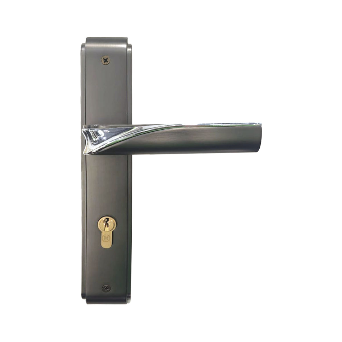 Modern Door Lock with Plate
