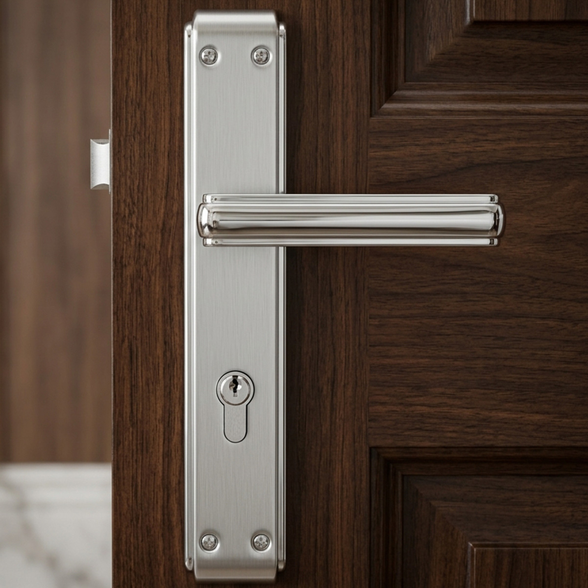 Modern Door Lock with Plate