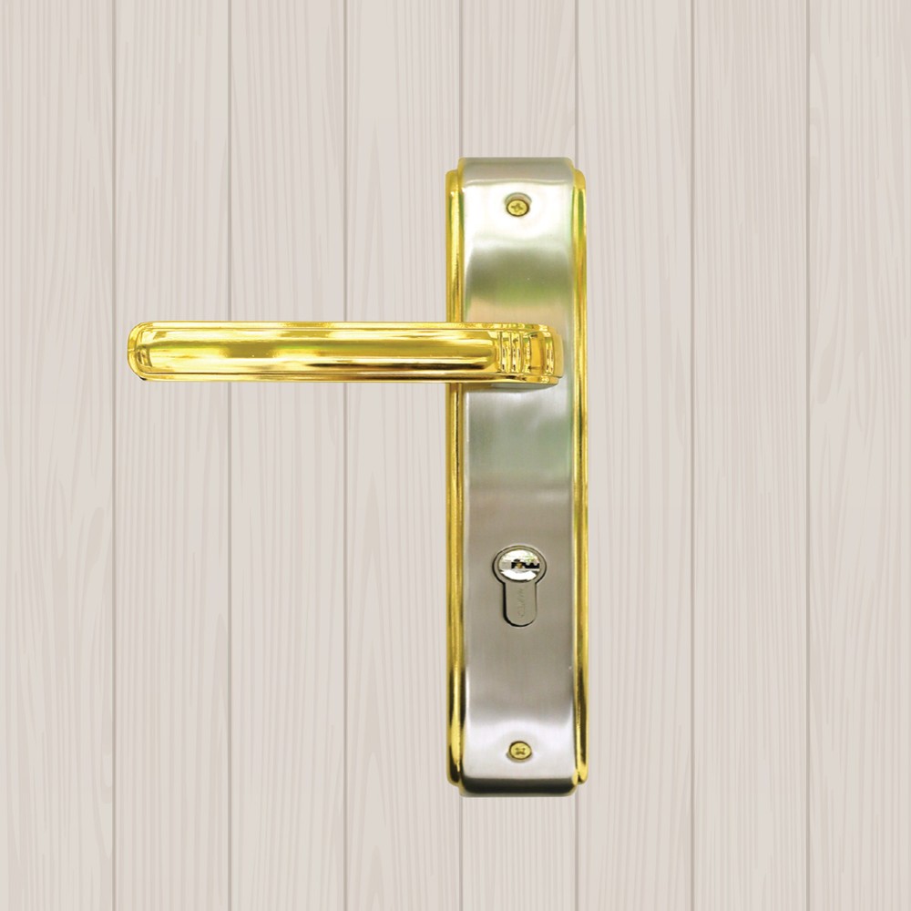 Modern Door Lock with Plate