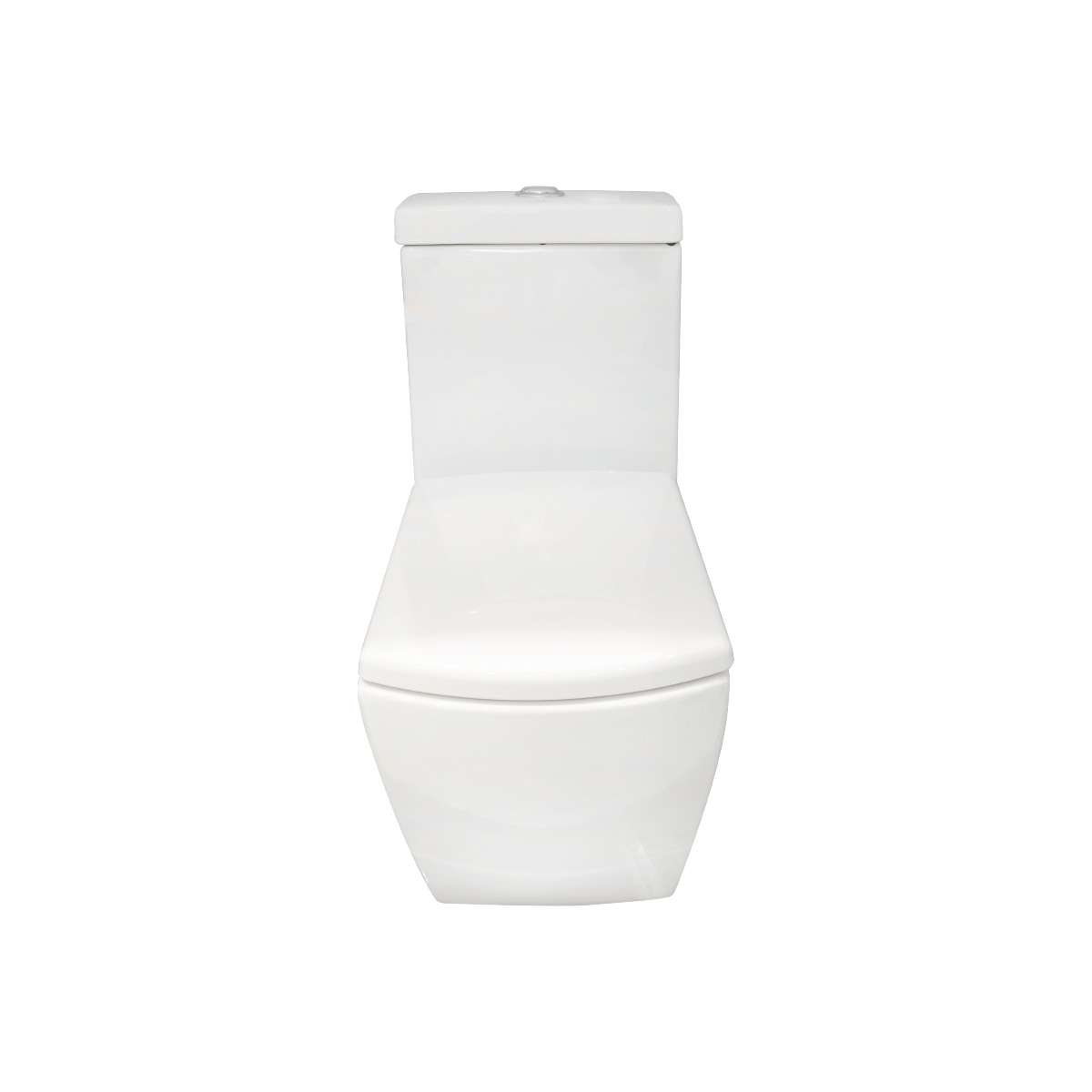 One-Piece Toilet