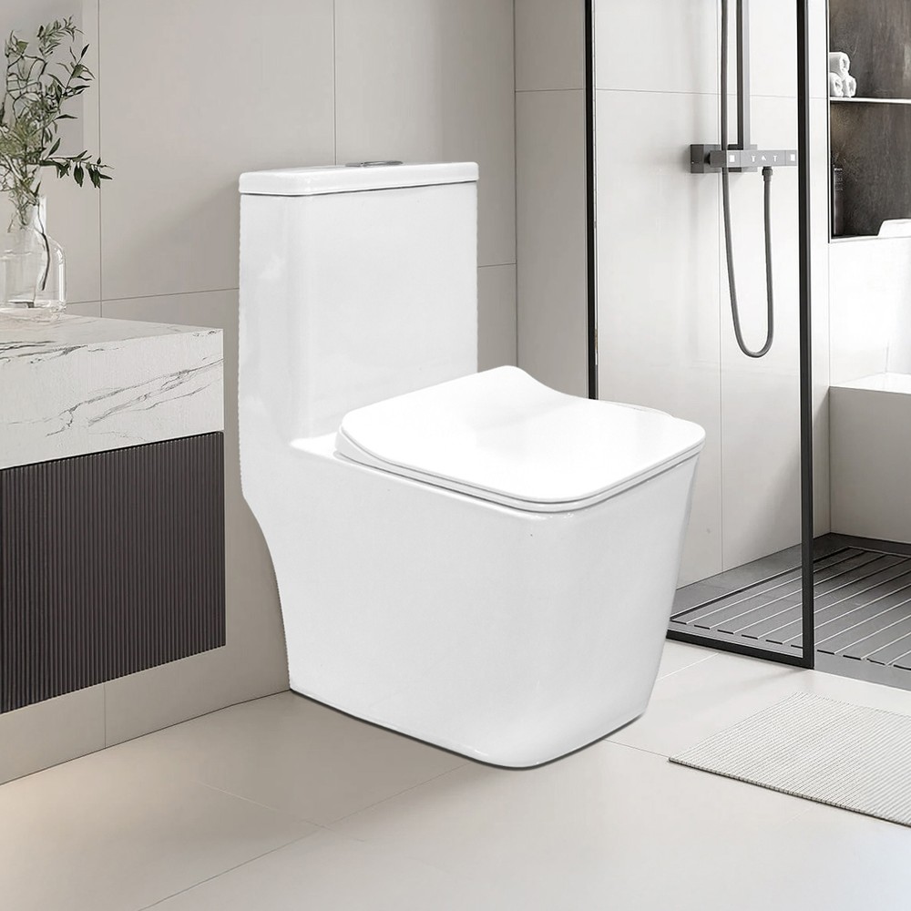 One-Piece Water Closet