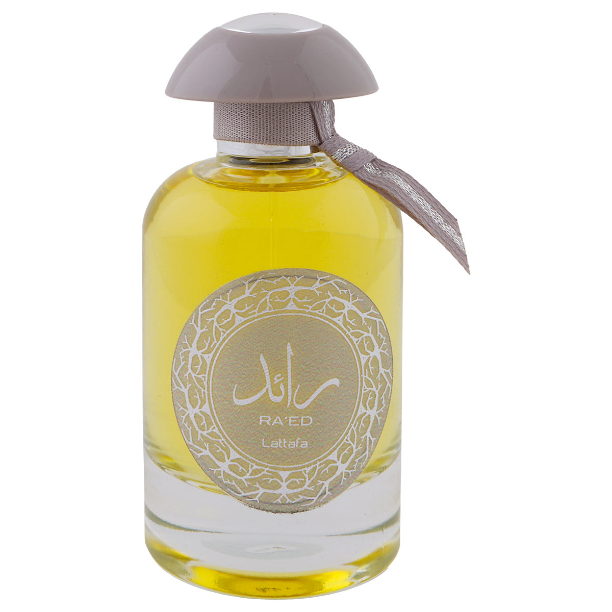 Raed Silver Spray 100ml