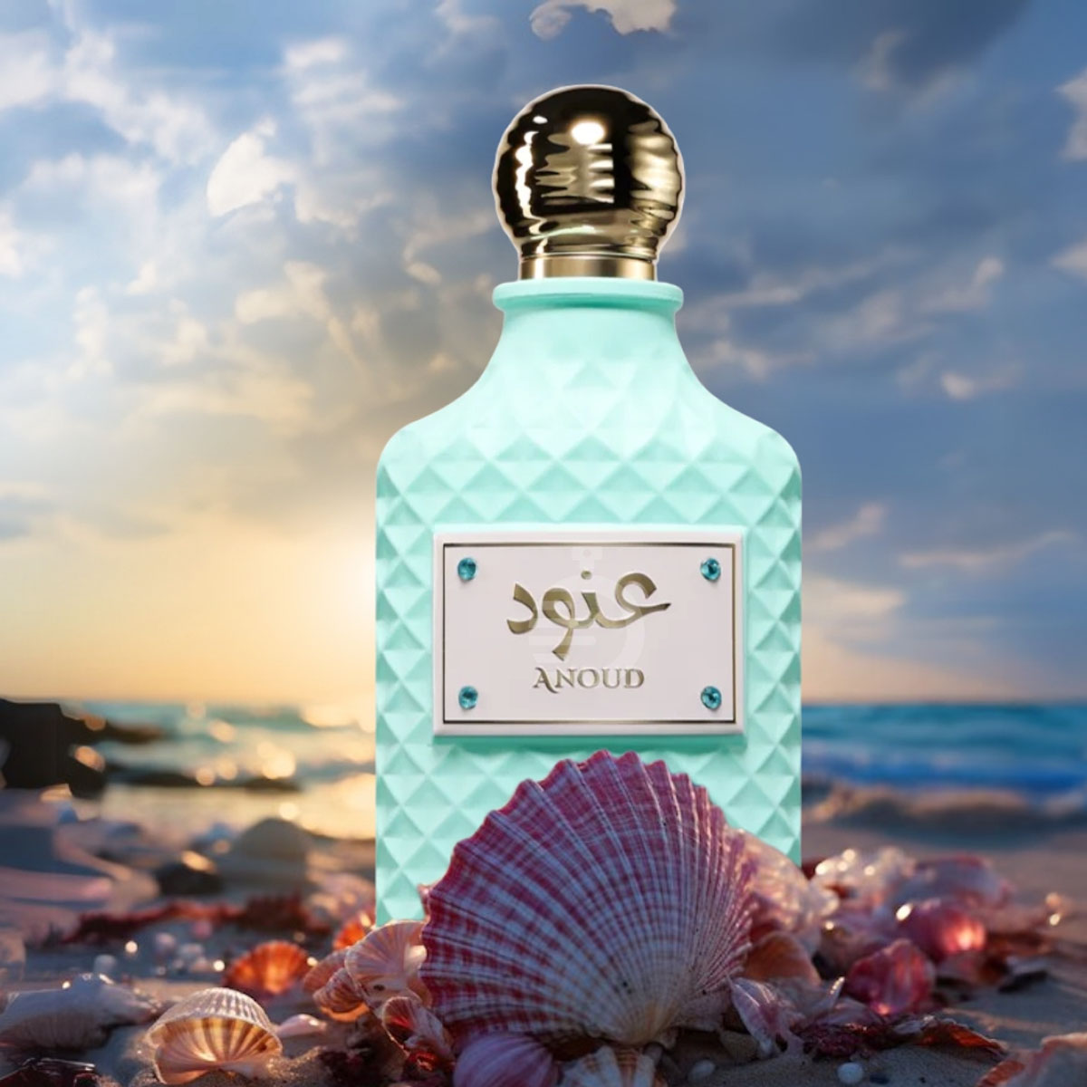 Anoud Spray 100ml