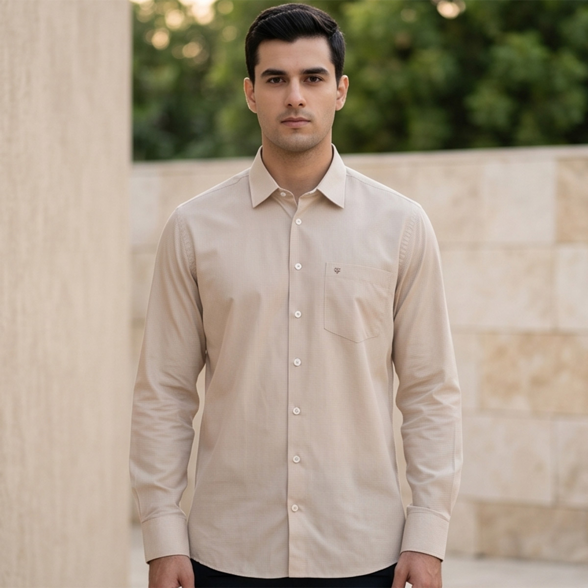 Men Plus Size Formal Shirt