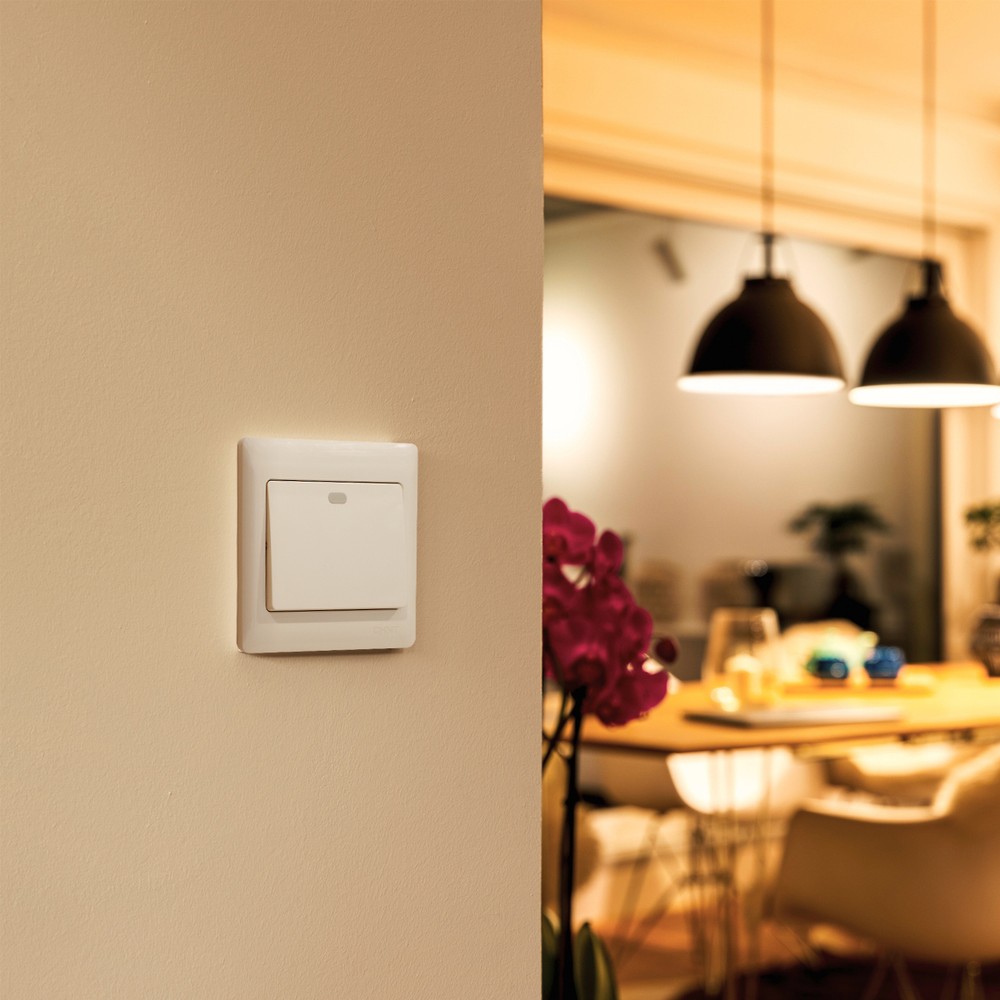 1 Gang 1 Way Switch 10A 250V