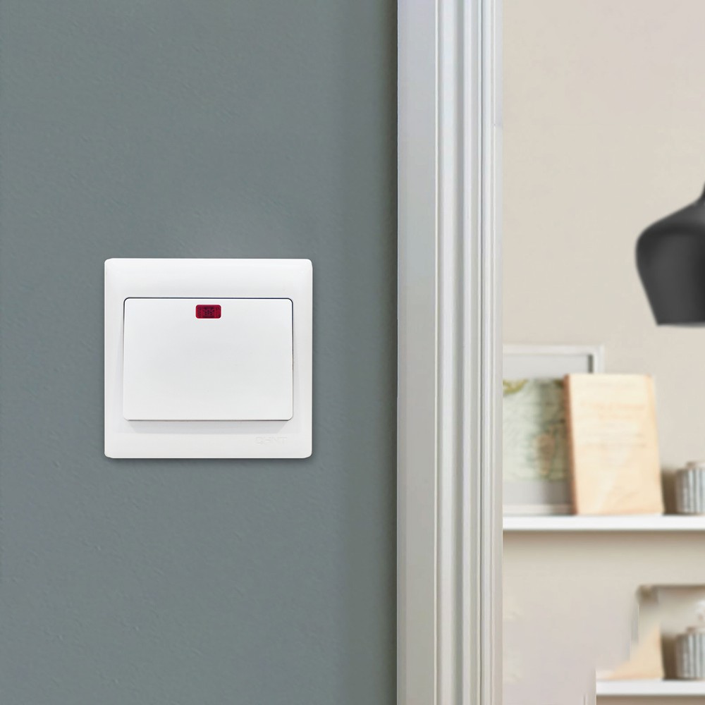 DP Switch 250V